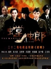 螳螂 螳螂