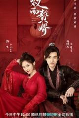 双面赘婿 双面赘婿