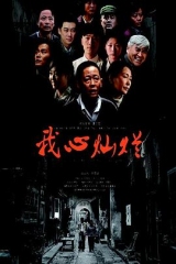 我心灿烂王志文版 我心灿烂王志文版