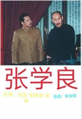 张学良 张学良