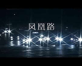 凤凰路 凤凰路