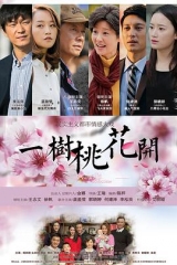 一树桃花开王志文版 一树桃花开王志文版