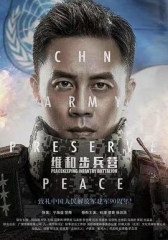维和步兵营 维和步兵营