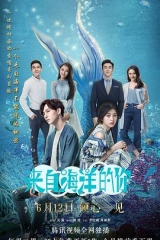 来自海洋的你 来自海洋的你