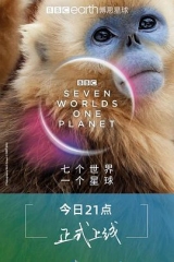 七个世界,一个星球 七个世界,一个星球