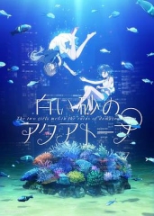白沙的水族馆 白沙的水族馆