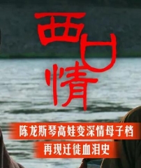 西口情 西口情