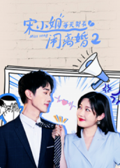 宋小姐每天都在闹离婚2 宋小姐每天都在闹离婚2