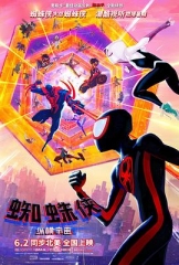 蜘蛛侠:纵横宇宙 蜘蛛侠:纵横宇宙
