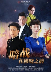 暗战在拂晓之前 暗战在拂晓之前