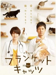 毛毯猫 毛毯猫