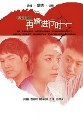 再婚进行时 再婚进行时