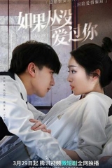 如果从没爱过你 如果从没爱过你