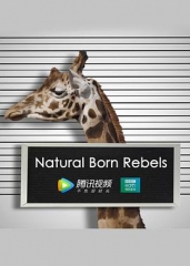 你这个坏怂 你这个坏怂