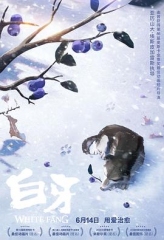 白牙法语 白牙法语