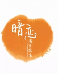 暗恋橘生淮南 暗恋橘生淮南
