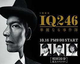 IQ246:华丽事件簿 IQ246:华丽事件簿