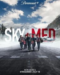 空中医疗队 空中医疗队