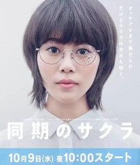 同期的小樱 同期的小樱