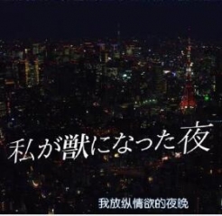 我放纵情欲的夜晚 我放纵情欲的夜晚