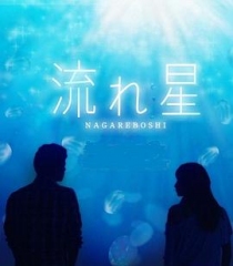 流星 流星