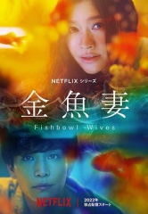 金鱼妻 金鱼妻