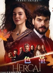 三色堇2019 三色堇2019