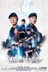 机场特警国语 机场特警国语