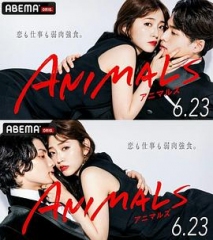 ANIMALS归国篇 ANIMALS归国篇