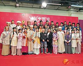 丫鬟大联盟国语 丫鬟大联盟国语