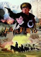 大西北剿匪记 大西北剿匪记