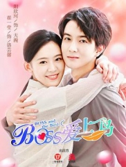 Boss爱上鸟 Boss爱上鸟