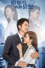 婚姻的两种猜想TV版 婚姻的两种猜想TV版
