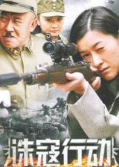 诛寇行动 诛寇行动