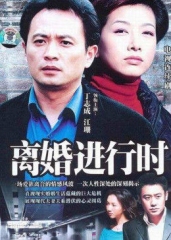 离婚进行时 离婚进行时