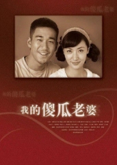 我的傻瓜老婆 我的傻瓜老婆