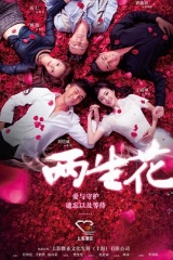 两生花2015 两生花2015