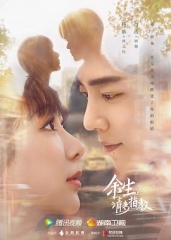 余生,请多指教DVD 余生,请多指教DVD