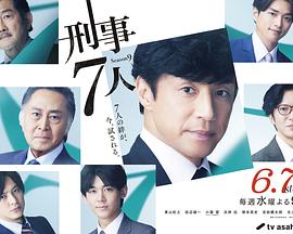 刑事7人第九季 刑事7人第九季