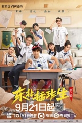 东北插班生 东北插班生