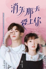 消失那天爱上你 消失那天爱上你