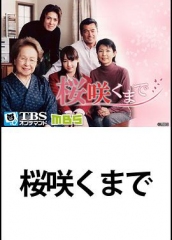 直到樱花绽放 直到樱花绽放
