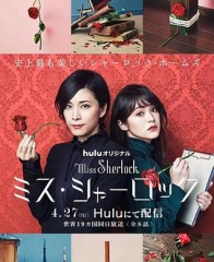 女神探夏洛克 女神探夏洛克