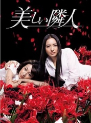 邻家美人 邻家美人
