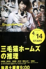 三花猫福尔摩斯的推理 三花猫福尔摩斯的推理