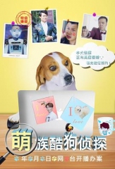 萌族酷狗侦探第三季 萌族酷狗侦探第三季