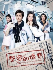 整容的诱惑 整容的诱惑