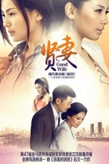 贤妻2013 贤妻2013