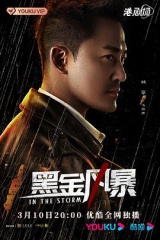 黑金风暴2022国语 黑金风暴2022国语