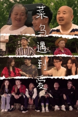 菜鸟遇到爱 菜鸟遇到爱